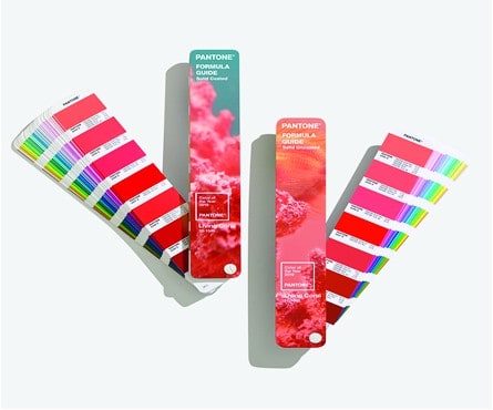 Living-Coral-Pantone-Color-2019